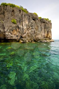 asia in the  kho phangan isles bay   rocks    thailand  and south china green sea  