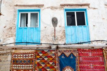 blue window in morocco africa old construction and brown wall red carpet  