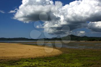 cloudy isle river   palm  rock stone branch hill lagoon and coastline in madagascar nosy be lokobe reserve