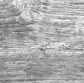 abstract texture of a brown antique wooden   old door in italy   europe
