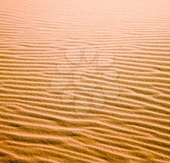 in the yellow desert of morocco lonely   dune hill