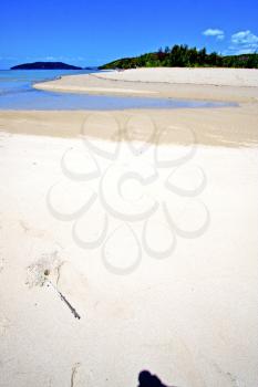 pirogue beach seaweed in indian ocean madagascar  people   sand isle      sky     and rock
