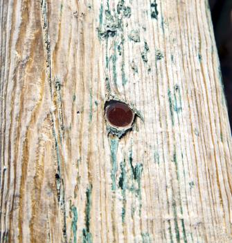 stripped paint in the blue  wood door    and rusty      nail