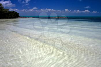 tropical lagoon hill navigable  froth cloudy  relax and coastline in the caraibbien blue lagoon sian kaan mexico
