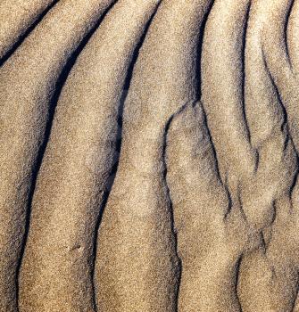 texture abstract of a  dry sand and the beach lanzarote spain