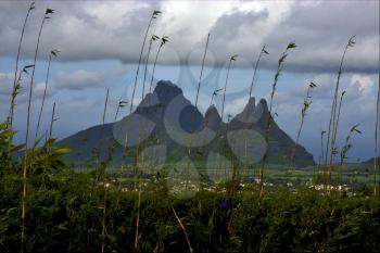 cloudy mountain plant tree and hill in trou aux cerfs mauritius