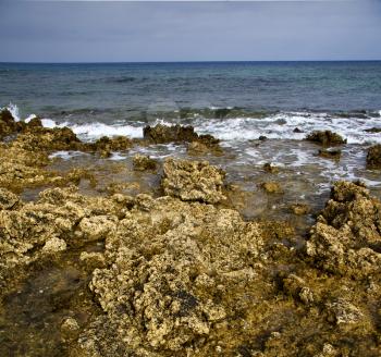  water  in lanzarote  isle foam rock spain landscape  stone sky cloud beach  
