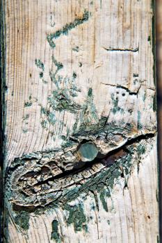 stripped paint in the blue  wood door    and rusty      nail