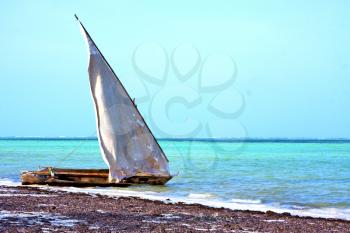 zanzibar beach  seaweed in indian ocean tanzania    sand isle  sky and boat sail
