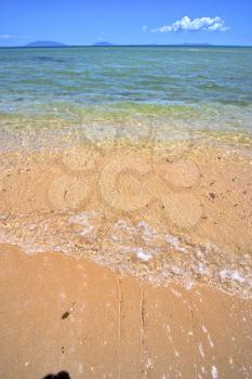 paradise beach seaweed in indian ocean nosy be  madagascar  sand isle  sky and foam
