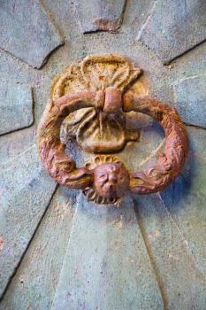 a brass brown knocker and wood  door castiglione olona varese italy