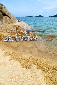 kho samui  bay isle white  beach    rocks in thailand asia and south china sea 