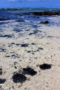 boat foam footstep indian ocean some stone in the island of deus cocos in mauritius blue bay
