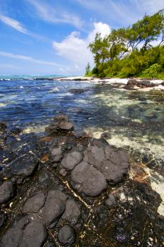  blue bay foam footstep indian ocean some stone in the island of deus cocos in mauritius 