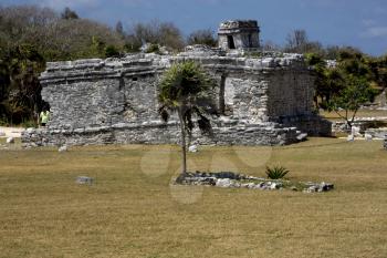 a wild angle of the tulum temple in  mexico america