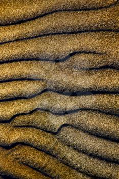  spain texture abstract of a  dry sand and the beach lanzarote 
