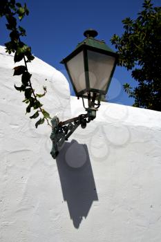 plant spain street lamp a bulb in the blue sky wall arrecife teguise lanzarote 
