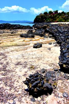 andilana beach seaweed in indian ocean madagascar mountain   sand isle  sky and rock