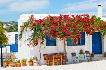   isle of     greece antorini europe old house and white color