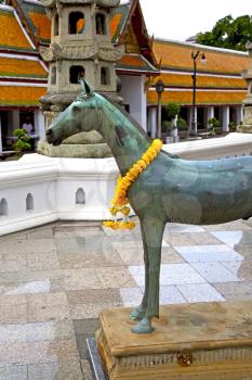 horse  in the temple bangkok asia   thailand abstract cross      colors step   wat  palaces   