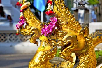    in the temple bangkok asia   thailand abstract cross        step     wat  palaces   
