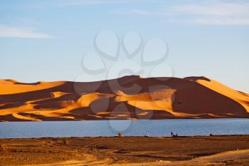 sunshine in the desert of morocco sand and  lake        dune