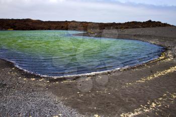 plant stone  atlantic ocean sky  water lanzarote in el golfo  spain musk pond rock  coastline and summer 
