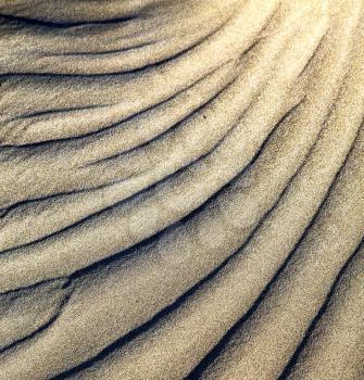  abstract texture of a  dry sand and the beach lanzarote spain