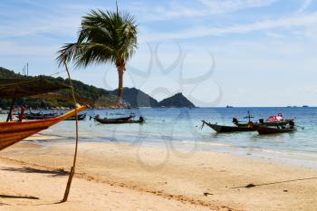 sun ligt  asia in the  kho tao bay isle white  beach    rocks  boat   thailand  and south china sea anchor