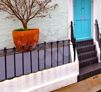 notting hill in london england old suburban and antique liliac       wall door 