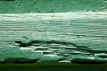 texture in spain lanzarote abstract green  window   
