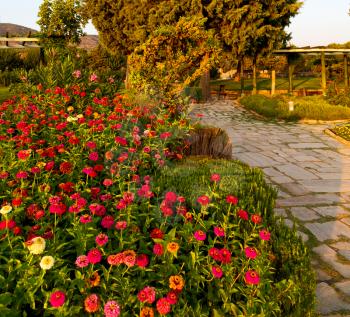 garden in pamukkale turkey trees and flower and the sky