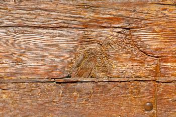 abstract texture of a   brown  antique wooden     old door 