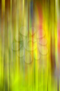 the abstract colors and blurred  background

