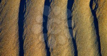 spain texture abstract of a  dry sand and the beach lanzarote 

