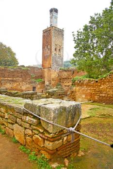 chellah  in morocco africa the old roman deteriorated monument and site