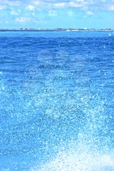 ground in mexico froath and blue  foam  the sea drop sunny day  wave