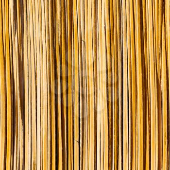 abstrac texture of a bamboo wall background in oman 