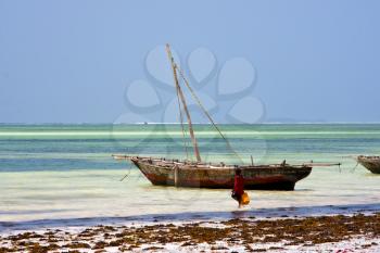 boat people and seaweed in the  blue lagoon relax  of zanzibar africa
