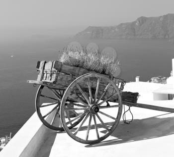 handcart   in    europe    vacation      cyclades santorini old town white and the sky