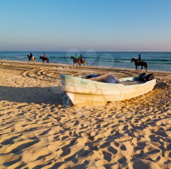 near sandy beach sky       and horse  in oman arabic sea  