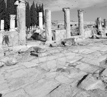  pamukkale    old       construction     in asia turkey the column  and the roman temple 