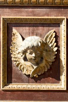 abstract angel   texture of a   brown  antique wooden     old door 