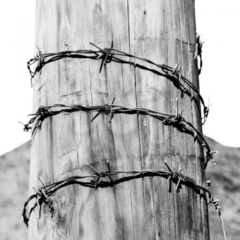and  in oman barbwire in the  background 