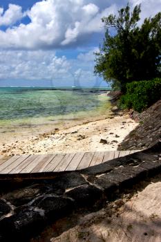  pier blue bay foam footstep indian ocean some stone in the island of deus cocos in mauritius 
