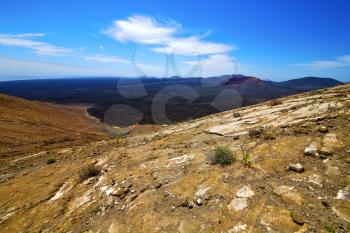  bush timanfaya  in los volcanes volcanic rock stone sky  hill and summer  lanzarote spain lagoon
