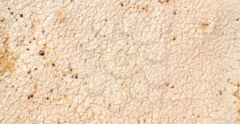 old desert and the abstract cracked sand texture  in oman    rub  al khali  blurred