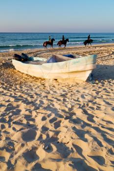 near sandy beach sky       and horse  in oman arabic sea  