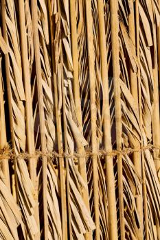 abstract   texture of a bamboo wall background in oman 
