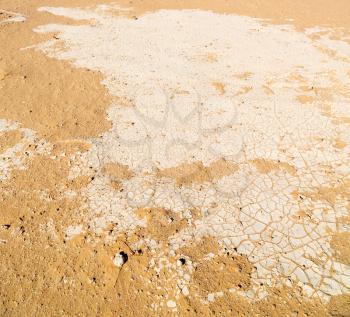 the empty quarter  and outdoor  sand  dune in oman old desert rub   al khali 